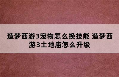 造梦西游3宠物怎么换技能 造梦西游3土地庙怎么升级